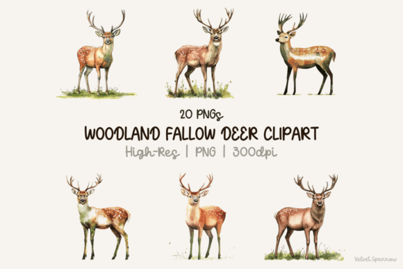 Download Woodland Fallow Deer Clipart 20 Png - Deer Collection