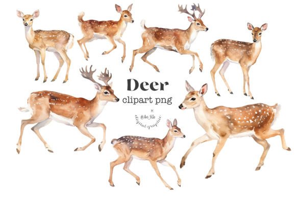 Download Deer Clipart - Deer Collection