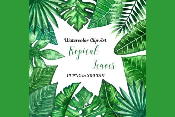 Download Jungle Clipart Palm Leaves Banana Leaves - Premium Resources