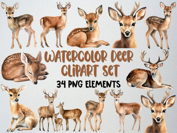 Download Watercolor Deer Clipart Set, 34 PNG - Deer Collection